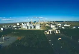 新疆广汇男篮最新消息