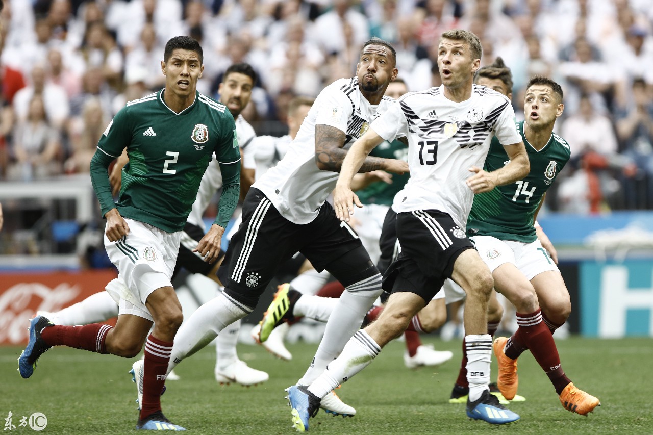 丹佛掘金训练开放日，今夜篮板制胜引欢呼，荷甲在即，临场指挥获称赞的简单介绍