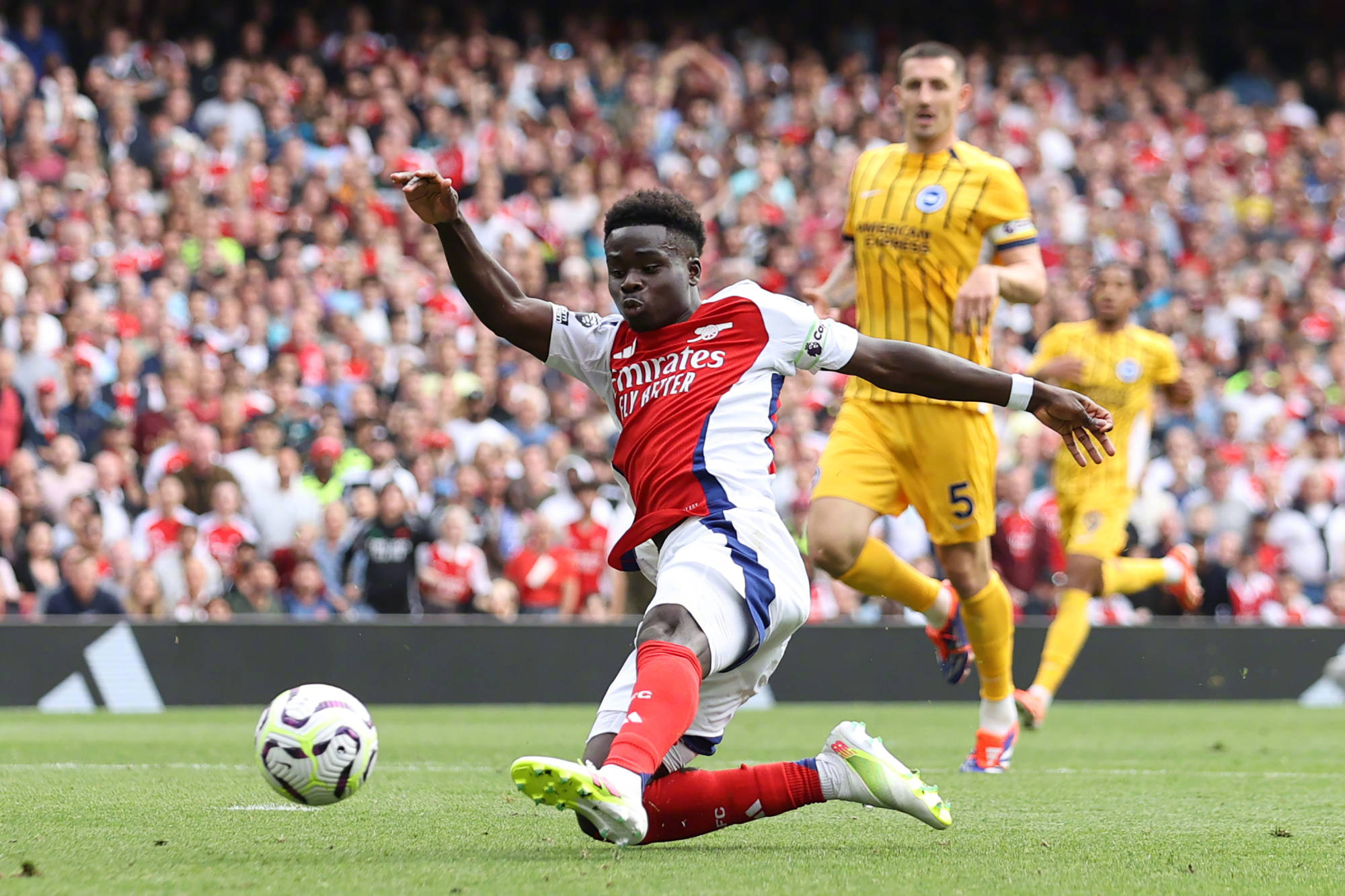 包含太狠了！窗口期布莱顿调整名单以备欧篮联风云突变多特蒙德今晨主帅复盘，布鲁克林篮网调整名单备战中超的词条